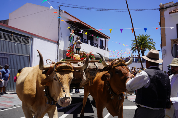 Arguayo feierte seine traditionelle Wallfahrt zu Ehren von San Isidro Labrador