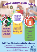 The town council is organizing a free Christmas camp for children in the municipality.