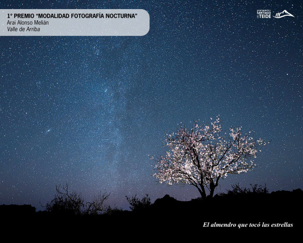 The City Council announces the winning entries of the 29th "Almond Blossom" Photography Contest 2026