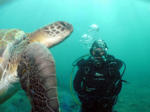 Discover Scuba Diving