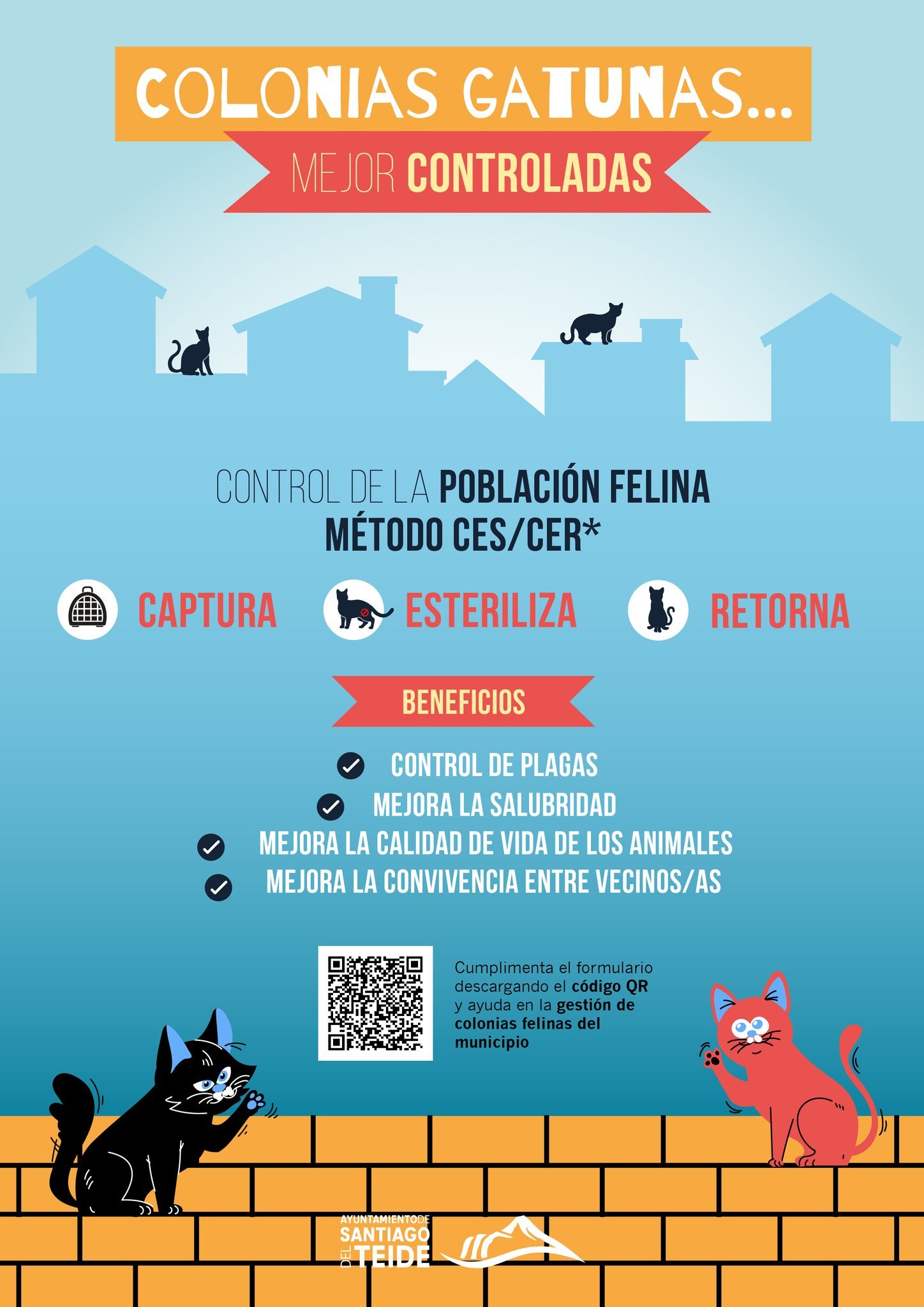 Santiago del Teide begins a campaign to control feline colonies in the municipality