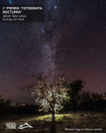 The City Council Announces the Jury's Decision for the 28th "Almond Blossom" Photography Contest