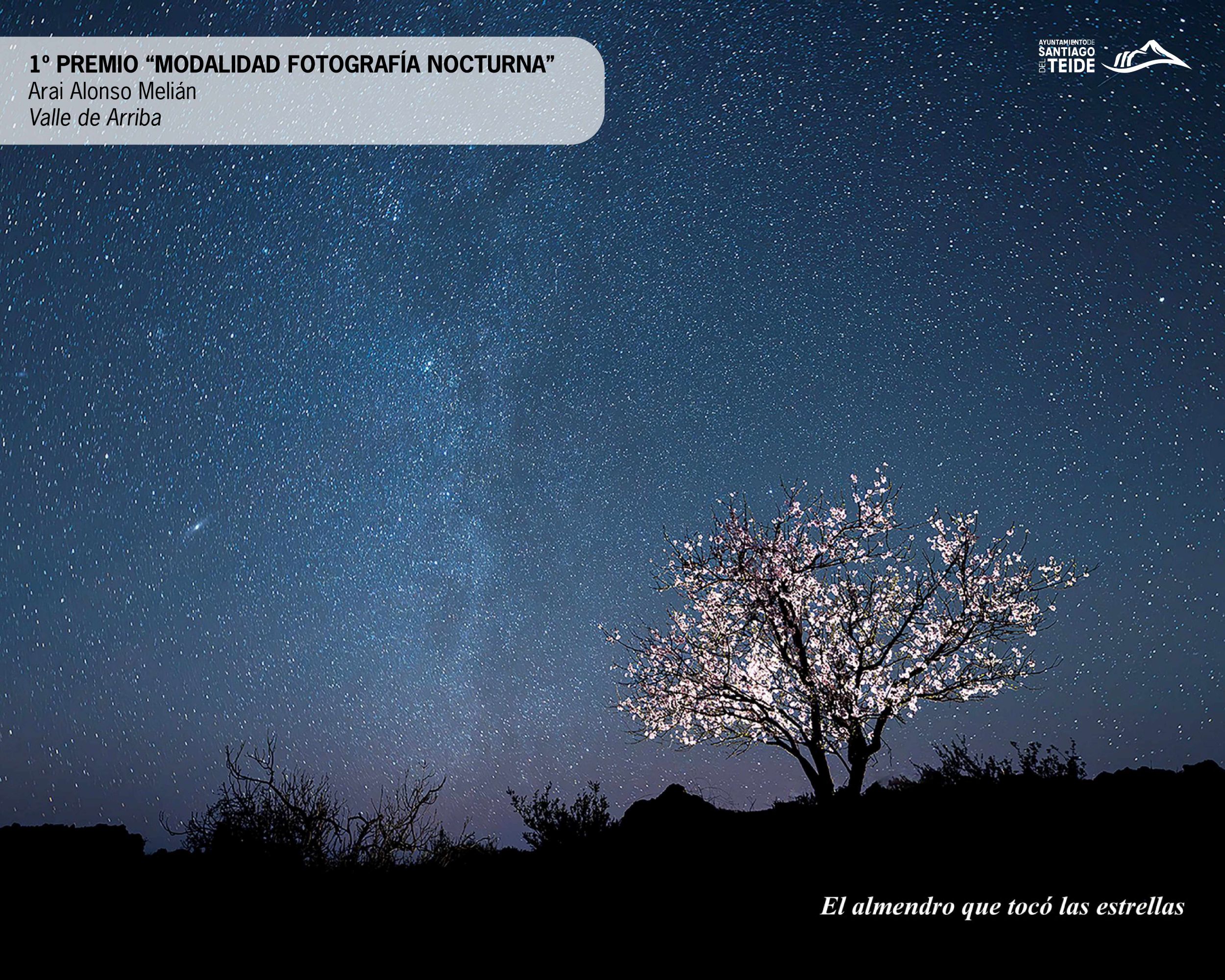 Die Stadtverwaltung gibt die Gewinner des 29. Fotowettbewerbs „Mandelblüte“ 2026 bekannt.